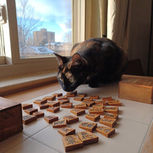 Load image into Gallery viewer, #C329 - Fancy Shogi Pieces - Vintage