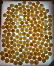 Load image into Gallery viewer, #C357 - Mystery Shell Set - Size 32 Go Stones and Go Bowls Set - Slate & Shell - Lacquered Bowls