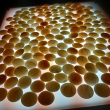 Load image into Gallery viewer, #C357 - Mystery Shell Set - Size 32 Go Stones and Go Bowls Set - Slate & Shell - Lacquered Bowls
