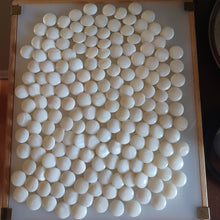 Load image into Gallery viewer, #C357 - Mystery Shell Set - Size 32 Go Stones and Go Bowls Set - Slate & Shell - Lacquered Bowls