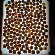 Load image into Gallery viewer, #C365 - Size 25 Slate and Shell Go Stones (Japanese) and Go Bowls (Chestnut) Set - Suwabute