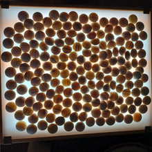 Load image into Gallery viewer, #C365 - Size 25 Slate and Shell Go Stones (Japanese) and Go Bowls (Chestnut) Set - Suwabute