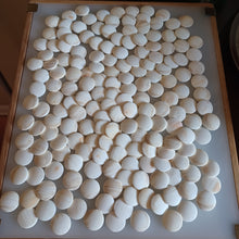 Load image into Gallery viewer, #C368 - Size 20 Slate and Shell Go Stones (Japanese) and Go Boxes Set - Suwabute