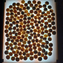Load image into Gallery viewer, #C373 - Size 28/31 Go Stones and Go Bowls Set - Slate & Shell - Chestnut