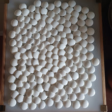 Load image into Gallery viewer, #C374 - Size 30 Slate and Shell Go Stones (Japanese) and Go Bowls (Keyaki) Set - Suwabute