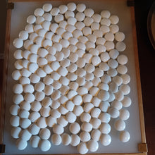 Load image into Gallery viewer, #C378 - Size 31 Go Stones (Slate and Snow-grade Clamshell) and Go Bowls (Quince) Set