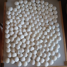 Load image into Gallery viewer, #C392 - Size 36 Go Stones (Slate and Clamshell) and Go Bowls (Keyaki) Set