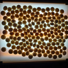 Load image into Gallery viewer, #C394 - Size 36 Slate & Shell Set - XL Keyaki bowls by Kaishi