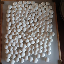 Load image into Gallery viewer, #C394 - Size 36 Slate & Shell Set - XL Keyaki bowls by Kaishi