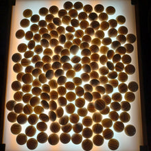Load image into Gallery viewer, #C395 - Size 33 Slate & Shell Set (Snow) - XL Keyaki bowls