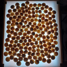 Load image into Gallery viewer, #C403 - Size 31 Slate and Shell Go Stones (Japanese) and Go Bowls (Chestnut) Set - Suwabute - Off-Spec