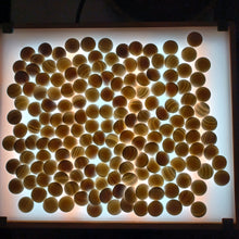 Load image into Gallery viewer, #C410 - Size 22 Slate & Clamshell Set - Off-Spec - Chestnut Bowls