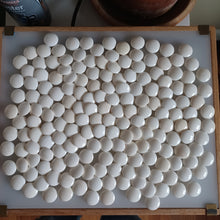 Load image into Gallery viewer, #C412 - Unrefurbished - Size 30 Go Stones and Go Bowls Set - Size XL Quince - Original Box