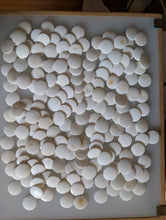 Load image into Gallery viewer, #C416 - Size 20 Slate and Shell Go Stones (Japanese) and Go Bowls Set (Chestnut)