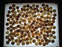 Load image into Gallery viewer, #C416 - Size 20 Slate and Shell Go Stones (Japanese) and Go Bowls Set (Chestnut)
