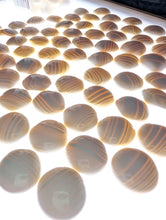 Load image into Gallery viewer, #C417 - Size 38 Slate & Shell Go Stones - Snow Grade - Original Box