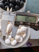 Load image into Gallery viewer, #C417 - Size 38 Slate & Shell Go Stones - Snow Grade - Original Box