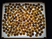 Load image into Gallery viewer, #C418 - Size 20 Slate and Shell Go Stones (Japanese) and Go Bowls Set (Chestnut)