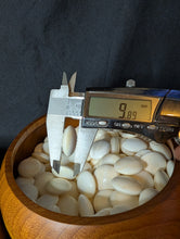 Load image into Gallery viewer, #C419 - Size 36 Slate and Shell Go Stones (Japanese) and Go Bowls (Camphor) Set - Suwabute