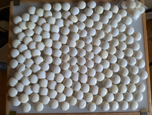 Load image into Gallery viewer, #C419 - Size 36 Slate and Shell Go Stones (Japanese) and Go Bowls (Camphor) Set - Suwabute