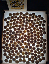 Load image into Gallery viewer, #C420 - Size 34 Go Stones (Slate and Clamshell) and Go Bowls Set