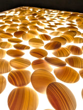 Load image into Gallery viewer, #C429 - Size 15 Slate and Shell Set - Chestnut Bowls - Japanese Clamshell - Storage Box