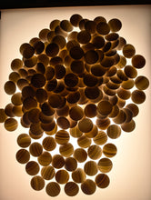 Load image into Gallery viewer, #C435 - Size 18 Slate & Shell Set - Japanese Clamshell - Chestnut Bowls