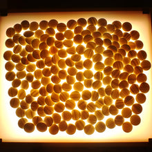 Load image into Gallery viewer, Size 22 Go Stones and Go Bowls Set - L Quince - Slate and Snow-grade Clamshell - #C050