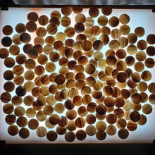 Load image into Gallery viewer, Size 15 Go Stones and Go Bowls Set - Medium - Camphor / Walnut - Slate & Shell - #C093