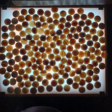 Load image into Gallery viewer, Size 20 Hamaguri Clamshell Set - M Chestnut - #C098