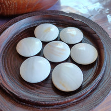 Load image into Gallery viewer, Size 20 Hamaguri Clamshell Set - M Chestnut - #C098