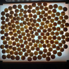 Load image into Gallery viewer, Size 30 Slate and Shell Set - Mulberry bowls - Snow - #C111
