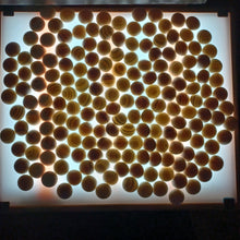 Load image into Gallery viewer, Size 34 Slate and Shell Go Stones and Go Bowls Set - Utility - Quince - #C123