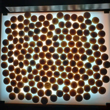 Load image into Gallery viewer, Size 33 Slate and Shell Go Stones and Go Bowls Set - Suwabute - Keyaki - #C133
