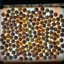 Load image into Gallery viewer, #C162 - Size 20 Go Stones and Go Bowls Set - Medium Chestnut - Japanese Clamshell