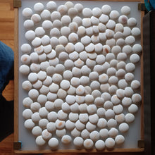Load image into Gallery viewer, #C162 - Size 20 Go Stones and Go Bowls Set - Medium Chestnut - Japanese Clamshell