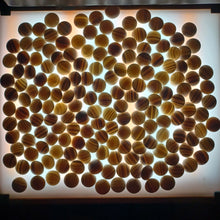 Load image into Gallery viewer, #C164 - Size 25 Go Stones and Go Bowls Set - Cherry / Mulberry - Slate & Shell