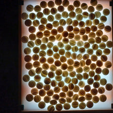 Load image into Gallery viewer, #C168 - Size 31 Slate and Shell Go Stones and Go Bowls Set - Moon - Keyaki / Zelkova