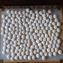 Load image into Gallery viewer, #C169 - Size 20 Go Stones and Go Bowls Set - Ash - Japanese Clamshell