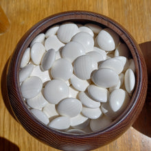 Load image into Gallery viewer, #C173 - Size 32 Slate and Shell set - Chestnut Go Bowls