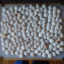 Load image into Gallery viewer, #C179 Size 15 Go Stones and Go Bowls Set - Medium - Honinbo Style - Slate & Japanese Clamshell