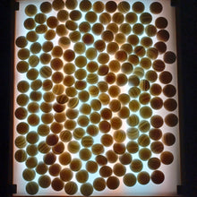 Load image into Gallery viewer, #C188 - Off Spec - Size 28 Go Stones and Go Bowls Set - Size L Chestnut - Slate & Off-Spec Clamshell