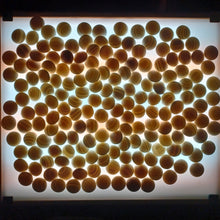 Load image into Gallery viewer, #C190 - Size 30/31 Slate and Shell Go Stones and Go Bowls Set - Utility - Keyaki