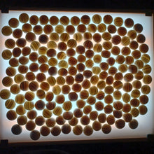Load image into Gallery viewer, #C191 - Size 31/32 Slate and Shell Go Stones and Go Bowls Set - Mix - Chestnut
