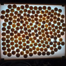 Load image into Gallery viewer, #C195 - Size 31/32 Slate and Shell Go Stones and Go Bowls Set - Mix - Chestnut