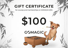 Загрузите изображение в средство просмотра галереи, Подарочная карта Go Magic! (цифровая)