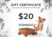 Загрузите изображение в средство просмотра галереи, Подарочная карта Go Magic! (цифровая)