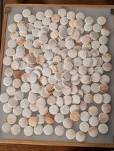 Load image into Gallery viewer, #C441 - Antique Slate &amp; Shell Set - Box - Chestnut - Japanese Clamshell