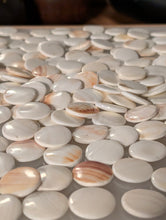 Load image into Gallery viewer, #C441 - Antique Slate &amp; Shell Set - Box - Chestnut - Japanese Clamshell
