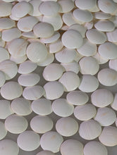 Load image into Gallery viewer, #C463 - Size 25 Go Stones (Slate &amp; Shell) and Go Bowls (Ebony) Set - Paulownia Box